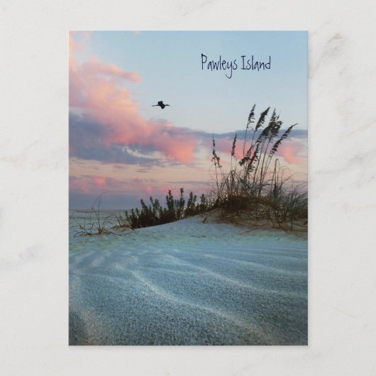 Pawleys Island Dune Sunset Briefkaart (Voorkant)