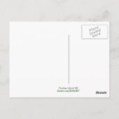 Pawleys Island Foggy Morning Post Card Briefkaart (Achterkant)