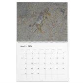 Pawleys Island Large Wall Calendar (Ontwerp 3) Kalender (Mar 2026)
