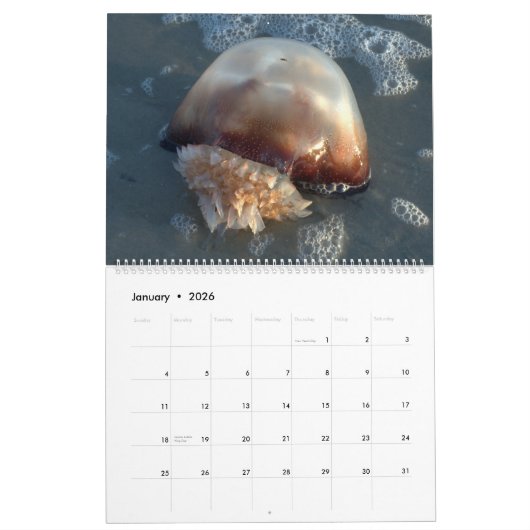 Pawleys Island Large Wall Calendar (Ontwerp 3) Kalender (Jan 2026)
