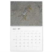 Pawleys Island Large Wall Calendar (Ontwerp 3) Kalender (Mar 2027)