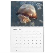 Pawleys Island Large Wall Calendar (Ontwerp 3) Kalender (Jan 2027)