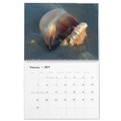 Pawleys Island Large Wall Calendar (Ontwerp 4) Kalender (Feb 2027)