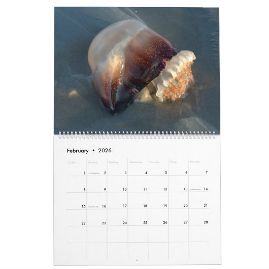Pawleys Island Large Wall Calendar (Ontwerp 4) Kalender (Feb 2026)