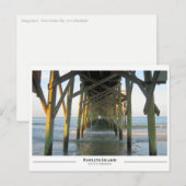 Pawleys Island - South Carolina Briefkaart (Voorkant / Achterkant)