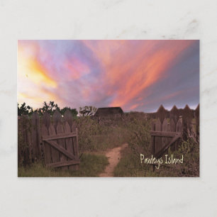 Pawleys Island Sunset Briefkaart
