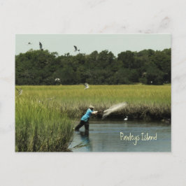 Pawleys Island Vist Briefkaart