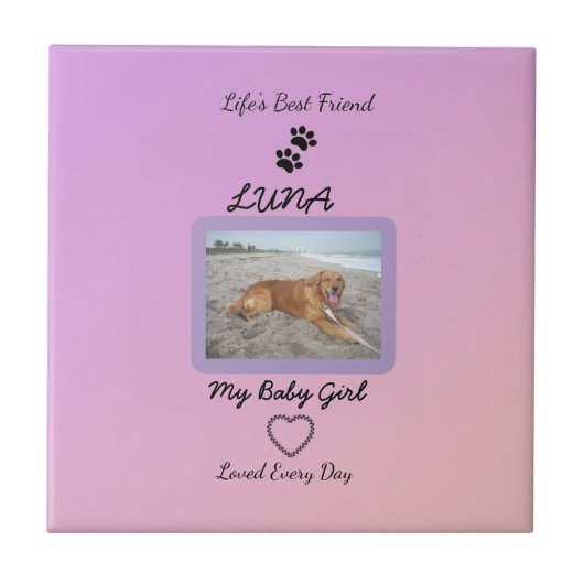 Pawprint Heart Everyday Pet Tegeltje (Voorkant)