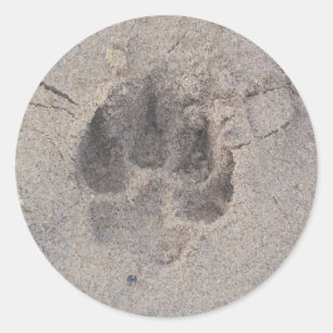 Pawprint sticker