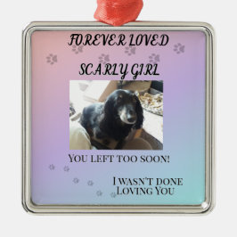 Pawprints Across the Rainbo Tribute Metalen Ornament