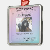 Pawprints Across the Rainbo Tribute Metalen Ornament (Links)