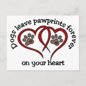 Pawprints Briefkaart (Voorkant)