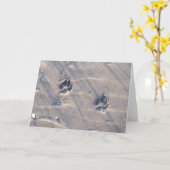 Pawprints in de Kaart van het zand (Gele Bloem)