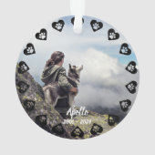 Pawprints of Love  foto Pet Memorial Ornament (achterkant)