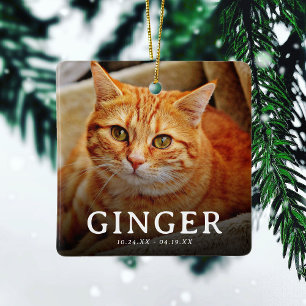 Pawprints op onze harten Pet Memorial Cat 2 Foto Keramisch Ornament