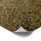 Pawprints Poster (Hoek)