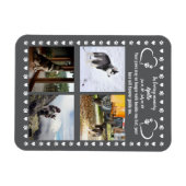 Pawprints van de liefde Foto Magneet (Horizontaal)