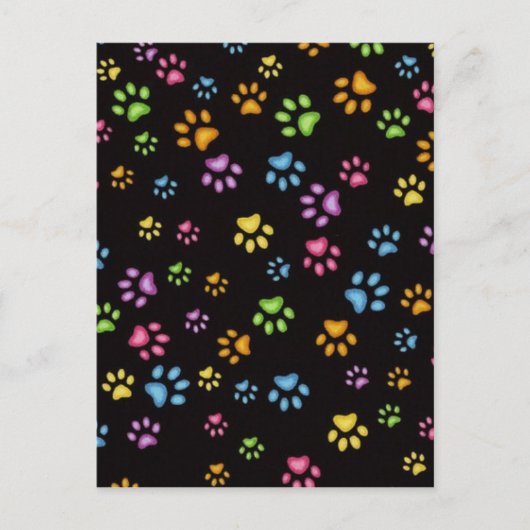 Paws Briefkaart (Voorkant)