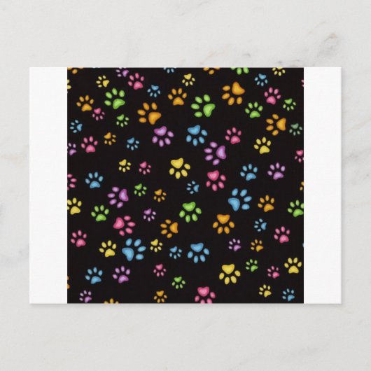 Paws Briefkaart (Voorkant)