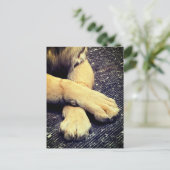 Paws Briefkaart (Staand voorkant)