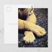 Paws Briefkaart (Voorkant / Achterkant)