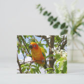 Paws here Briefkaart "Olivia" (Staand voorkant)