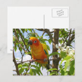 Paws here Briefkaart "Olivia" (Voorkant / Achterkant)