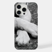 Paws iPhone Hoesje (Achterkant)