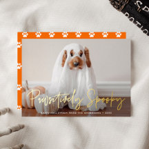 Paws-itief enge Halloween huisdier foto