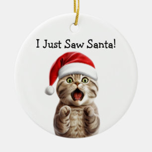 Paws-itief feestelijke kat Ornament