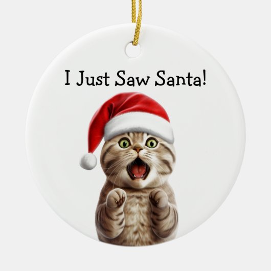 Paws-itief feestelijke kat Ornament (Voorkant)