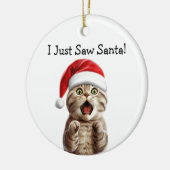 Paws-itief feestelijke kat Ornament (Links)