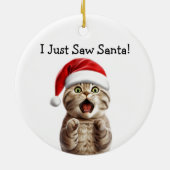 Paws-itief feestelijke kat Ornament (Achterkant)