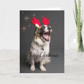 Paws & Joy: Aardige hond "Prettig Kerstfeest" kaar Feestdagen Kaart (Voorkant)