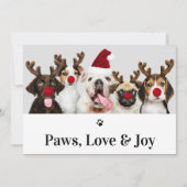 Paws Love and Joy Dog Kerstmis 5-fotokaart Kaart (Voorkant)