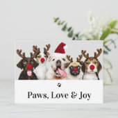 Paws Love and Joy Dog Kerstmis 5-fotokaart Kaart (Staand voorkant)