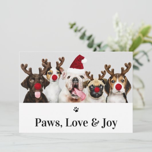 Paws Love and Joy Dog Kerstmis 5-fotokaart Kaart (Staand voorkant)
