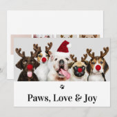 Paws Love and Joy Dog Kerstmis 5-fotokaart Kaart (Voorkant / Achterkant)