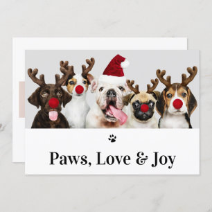 Paws Love and Joy Dog Kerstmis 5-fotokaart Kaart