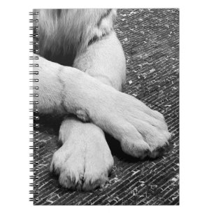 Paws Notitieboek