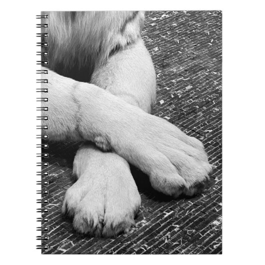 Paws Notitieboek (Voorkant)