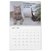 Paws & Personality: Een jaar vol brutaliteit en va Kalender (Mar 2027)