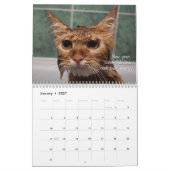 Paws & Personality: Een jaar vol brutaliteit en va Kalender (Jan 2027)