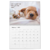 Paws & Personality: Een jaar vol brutaliteit en va Kalender (Feb 2027)