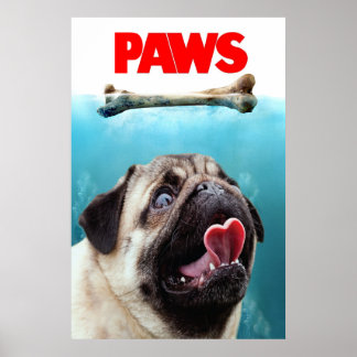 PAWS POSTER