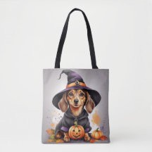 Paws & Potions: Dachshund Witch op een pompoen