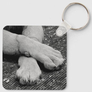 Paws Sleutelhanger