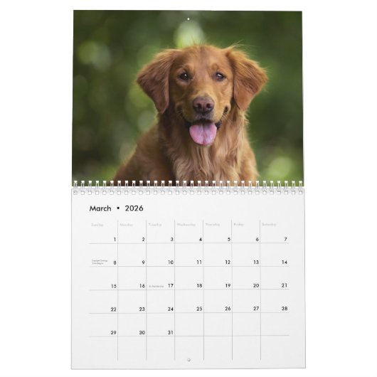 Paws Through the Seasons Calendar Kalender (Mar 2026)
