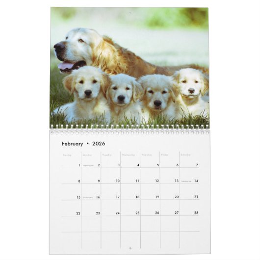 Paws Through the Seasons Calendar Kalender (Feb 2026)