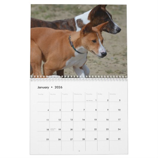 Paws Through the Seasons Calendar Kalender (Jan 2026)